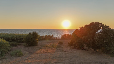 Pr 01.jpg